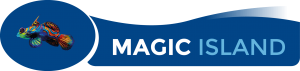 MAG-Logo Magic Island FC-LC