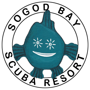 SBSR Logo